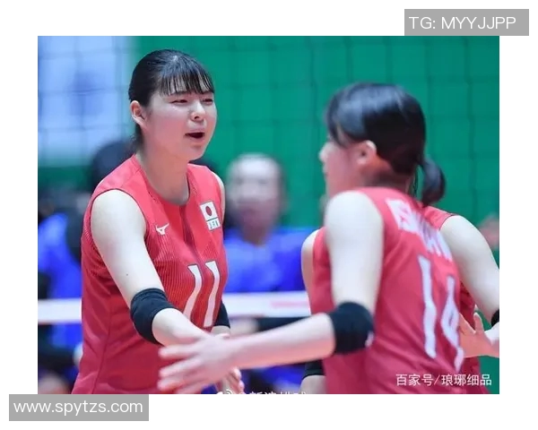 北京排球队在欧锦赛中的耐力表现与战术分析探讨