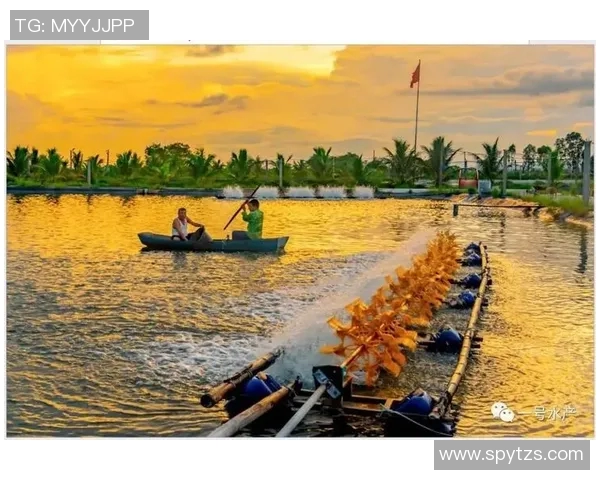 北京网球队阵地战革新探索与实践的深度分析与展望