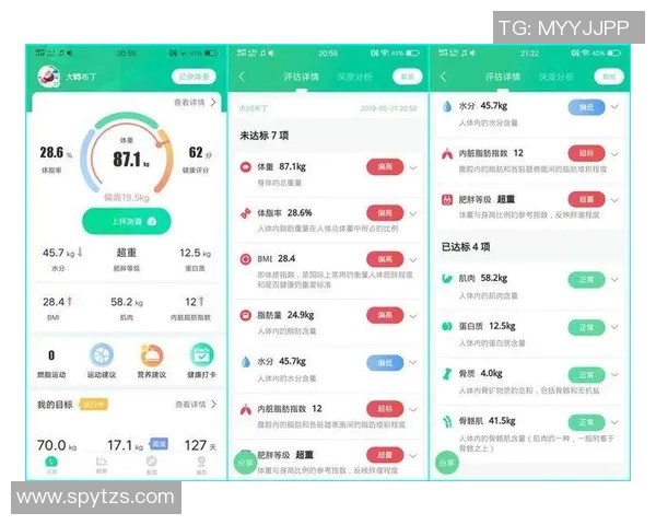 南京羽毛球队实力分析与表现评估的全面数据研究