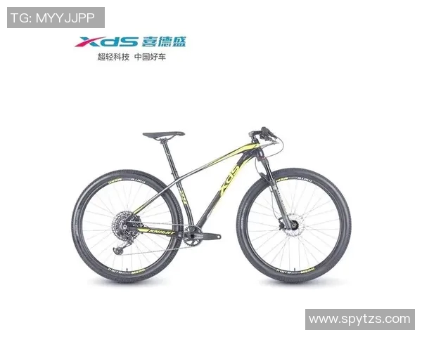 上海乒乓球队个人能力深度对比与分析探讨 上海乒乓球队个人能力深度对比与分析探讨