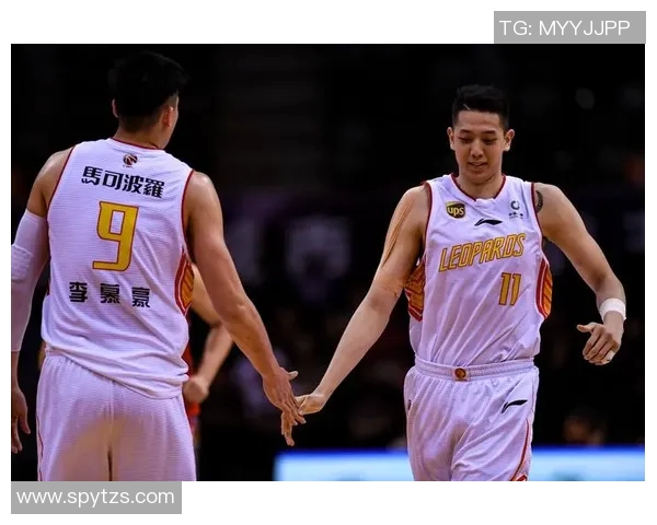 深圳篮球队力压群雄创造历史新高的力量排名分析