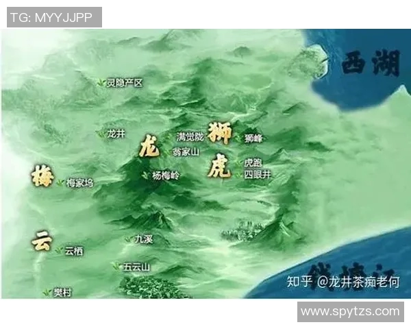 杭州足球队进攻战术深度解析与实战应用探讨